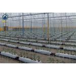 Cocopeat Hydroponic Grow Trough Systems For Growing Roses Tomatos Vegetables for sale