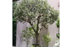 China Custom Fiberglass Olive Artificial Landscape Trees Garden Decoration supplier