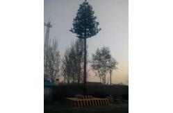 China Artificial Bionic Pine Tree Self Supporting Camouflage Cell Tower 10m supplier