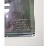 NFRC Vinyl UPVC Single Hung Window With Grids And Nail Fins