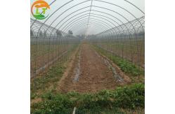 China Single Layer Chinese Greenhouse Frame for Compression Resistant and Customizable Design supplier