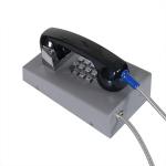 Metal SIP2.0 POE Heavy Duty Analog Phone Prison Inmate Service Pillar Mounting