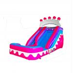 Pink Crown Inflatable Wet Dry Inflatable Slide With The Pool for sale