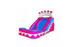 China Pink Crown Inflatable Wet Dry Inflatable Slide With The Pool supplier
