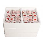 Winter Strawberry Foambox Express Special Fruit Packaging Gift Box Loquat Small Tomato Cherry Tomatoes Fresh-keeping Box for sale