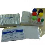 Research Use MSDS Elisa Test Kit Human Il-17 Interleukin 17 for sale