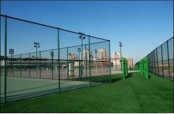 China Waterproof Galvanized Chain Link Fence Fabric Roll Powder Coated supplier