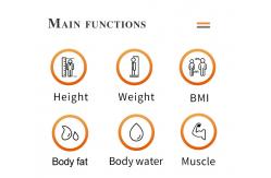 China Ultrasonic Smart Body Fat Analyzer Scale Height Weight 205cm supplier