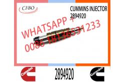 China Diesel Fuel Injector 2872405 5579417 2894920 5579415 For Cummins supplier