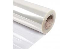 China Transparent Car Windshield Protector UV Protection Film Waterproof Practical supplier