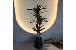 China Plastic Material Plastic with Low Maintenance and UV Resistant Benefits supplier
