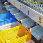 380V Fruit And Vegetable Processing Line Fully Automatic Cleaning Drying Grading