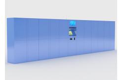 China Self Service Smart Post Parcel Delivery Lockers with Coin / Card Acceptor FCC supplier