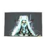 Hot Sell B170PW03 V4 size 17.0 inch 30 pins TFT LCD Panel for sale