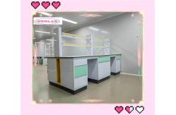 China High Resistance to Chemicals and Smooth Surface Chemistry Lab Bench Lab Workstations supplier