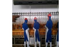 China Halal Poultry Automatic Abattoir Chicken Slaughtering Processing Scalding Plucking Machine supplier