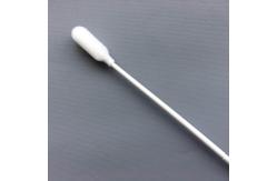 China Disposable Oral Foam Swabs , Medical Foam Swabs With White PP Stick supplier