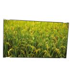 42.0 Inch TFT LCD Display Module P420HVN03.1 AUO LCD Panel for sale