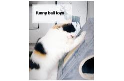 China Linen Portable 42cm Short Plush Cat House Indoor supplier