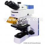 APO Objective Infinity Trinocular Fluorescence Microscope with Disc LED  A16.0908-L