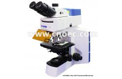 China APO Objective Infinity Trinocular Fluorescence Microscope with Disc LED  A16.0908-L supplier