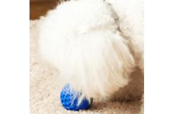 China Pet Bite-resistant Sound Chew Toy Dog Interactive Rubber Ball supplier