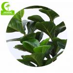 Flame Retardant Height 155cm Aesthetic Artificial Ficus Lyrata With Pot