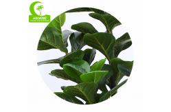 China Flame Retardant Height 155cm Aesthetic Artificial Ficus Lyrata With Pot supplier