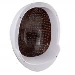 EEG Gamma Wave Oscillation 810nm Infrared Brain Photobiomodulation