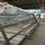Free Design A Type Hot Galvanized Baby Chick Cage 4 Tiers 168 Birds for sale