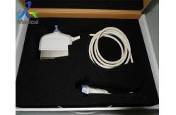 China GE 9L-D Pediatric Ultrasonic Probe Linear Transducer Vascular Diagnostic Imaging Hospital supplier