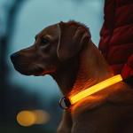 LED Dog Collar Waterproof Flashing Light Up Night Walking Adjustable USB Rechargeable