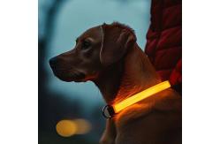China LED Dog Collar Waterproof Flashing Light Up Night Walking Adjustable USB Rechargeable supplier