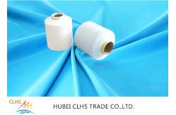 China 70D/24F/2 Nylon Filament Yarn For Scrubbies Knitting supplier