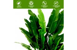 China Anti - Fading Plastic Artificial Landscape Trees Potted Bird Of Paradise supplier