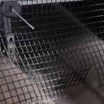 Solar Panel Bird Mesh Protection Proofing for sale
