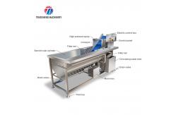 China Automatic Bubble Vortex Fruit and Vegetable Vegetable Washing Machine supplier