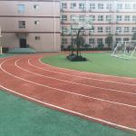 Semicircle Area Prefabricated Synthetic Sports Surfaces Track Red for sale
