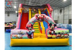 China Customized Inflatable Slide Mickey And Minnie Inflatable Double Dry Slides Castle supplier