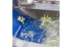 China 180KG Multifunctional vegetable washing machine eddy current washing machine stainless steel material supplier
