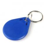 125KHZ EM4100 Protocol Standard RFID Key Chain