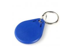 China 125KHZ EM4100 Protocol Standard RFID Key Chain supplier
