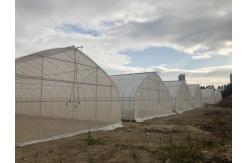 China Arched Temperature Control Tunnel Green Houses With Outside Shading System supplier