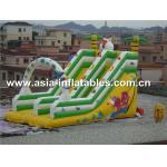 Hot Sale Inflatable Double Lane Slide In Cartoon Theme For Kids for sale