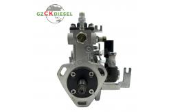 China Fuel Injection Pump 4PL1155 4PL1156 BHF4PM100001 For YZ4102ZLQ 4100Q supplier