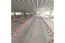 China Electrical Environmentally Controlled Poultry House supplier