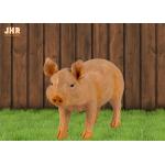 Home Decor Life Size Polyresin Animal Figurines Pig Sculpture Floor Statue for sale