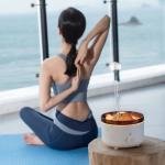7 Colors Fire Flame Air Humidifier With 560ml Capacity And 30-50ml/h Mist Output for sale