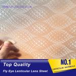 PLASTIC LENTICULAR clear pp microlens film dot lenticular sheet for 3d LED diffuser for sale