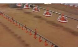 China Automated Broiler Pan Feeding System Poultry Chain Feeder supplier